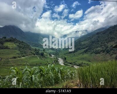 Lussureggianti risaie e il granturco dolce nelle montagne vicino a Sapa in Vietnam del Nord Foto Stock