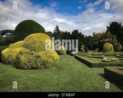 Giardini formali: Elvaston Castle Country Park.Derby.Derbyshire Foto Stock