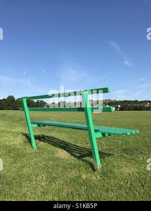 Vuoto banco verde in un parco pubblico con un campo da cricket (formato verticale) Foto Stock