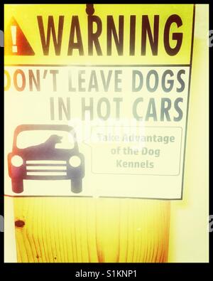 Segnale di avvertimento non lasciare i cani in auto a caldo Foto Stock