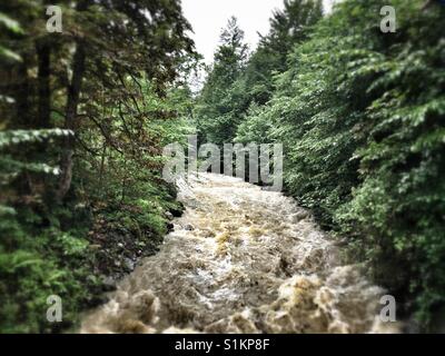 Forte corrente nel fiume Breitach che ha swolen durante pesanti piogge estive Foto Stock