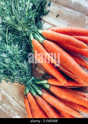 Mangiare sano. I grappoli di freschi Carote con cime di verde Foto Stock