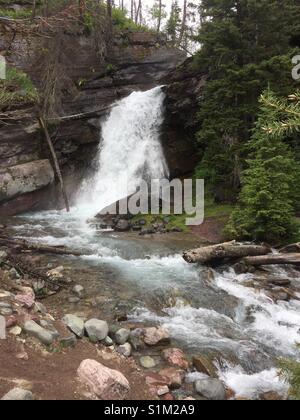 Baring cade presso il Glacier National Park Foto Stock