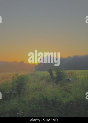 Misty alba sul campo di fattoria in Carolina del Nord Foto Stock