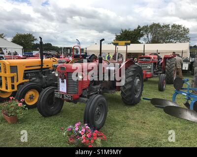 Vale of Glamorgan show, Fonmon Castello, Galles - Agosto 2017: trattori d'epoca sul display Foto Stock