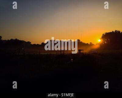 Bagliore dorato sulla fattoria- sunrise attraverso la nebbia e attrezzature agricole in North Carolina campo Foto Stock