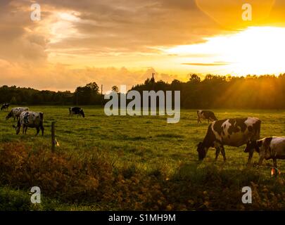 'Fino alle calende greche al tramonto. Foto Stock