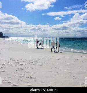 Sagome di due coppie camminando sul Hyams iconica spiaggia in un abbigliamento caldo. Hyams, Jervis Bay, Nuovo Galles del Sud, Australia Foto Stock