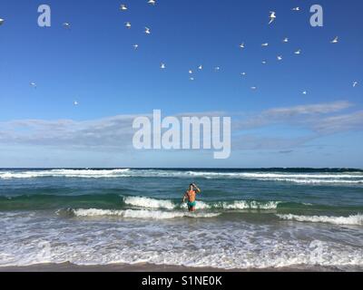 Uomo e gabbiani sulla spiaggia Foto Stock