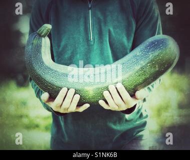 Un gigante di midollo osseo che si terrà nelle braccia di un giardiniere al suo riparto. Foto Stock