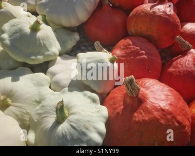 Arancione e bianco si schiaccia sulla vendita su un mercato francese in stallo. Foto Stock