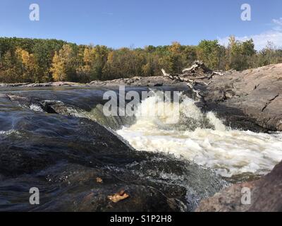 Whitemouth cade parco provinciale Foto Stock