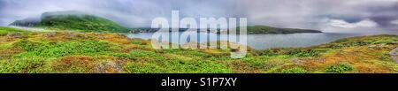Panorama di Sant'Antonio, Grande Penisola Settentrionale, Terranova, Canada Foto Stock