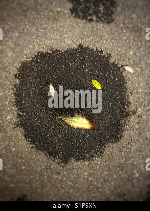 Essiccazione pozza d'autunno con foglie assomiglia a una faccia Foto Stock