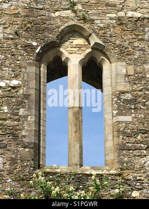 Medievale finestra di pietra in stile gotico nel castello di Enniscorthy, Wexford, Irlanda Foto Stock