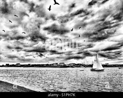 Fiume Deben Bawdsey Ferry Suffolk in Inghilterra Foto Stock