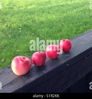 Appels dal riparto capanna, gug dk Foto Stock