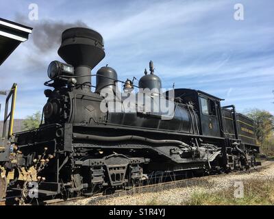 Cass Scenic Railroad, Cass WV. Foto Stock