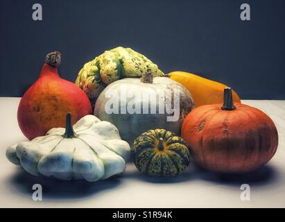 Una varietà di verdure di zucca Foto Stock