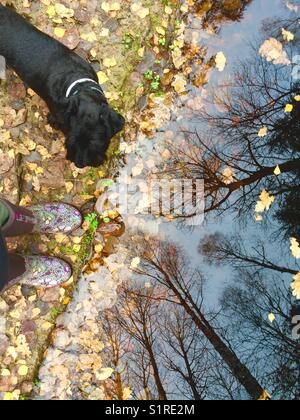 Alberi autunnali riflessi nell'acqua dello stagno con cane nero e un paio di stivali, vista ad angolo alto Foto Stock