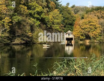 Regno Unito: meteo soleggiate di Godalming. Winkworth arboreto, Godalming. Il 30 ottobre 2017. Splendido sole sulla Home Counties oggi. Winkworth Arboretum vicino a Godalming, Surrey. Foto Stock