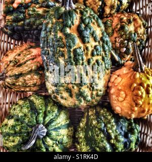 Primo piano di una selezione di buongustai colorati. Foto Stock
