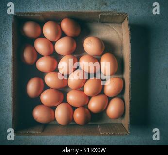 Piccolo vassoio di cartone pieno di uova di pollo appena raccolte Foto Stock