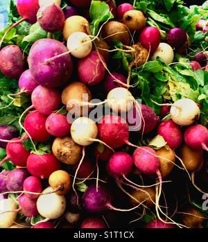 Colori misti cimelio di famiglia ravanelli al mercato Foto Stock