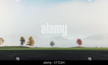 Un'alba nebbiosa al New Brighton Park a Vancouver, British Columbia, Canada. Foto Stock