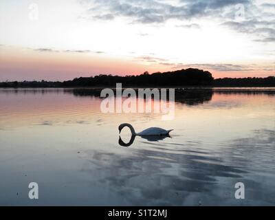 La riflessione sulla ancora acqua. prese a fori bay, Poole, Dorset Foto Stock