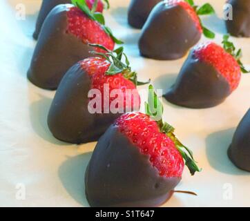 Il cioccolato fragole immerse su un vassoio ricoperto di carta da forno per indurire Foto Stock