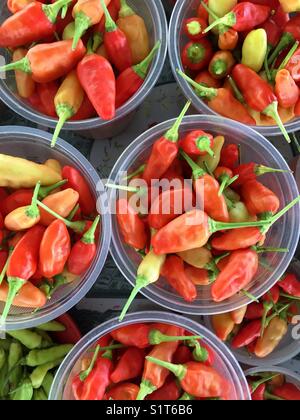 Tazze di bird eye chilis vengano venduti al mercato agricolo di Sarawak, nel Borneo. Foto Stock