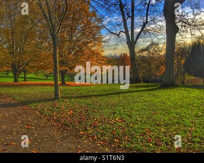 Waterlow Park di Highgate a Londra, Inghilterra. Foto scattata il 19 novembre 2017 Foto Stock