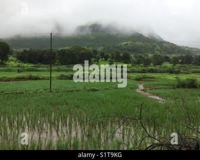 Umori igatpuri Foto Stock