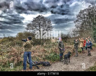 Twitchers con un binocolo guardando per la starling murmuration, quando gli uccelli venite a roost nel canneto di notte, prosciutto parete, Avalon paludi, Somerset, Inghilterra Foto Stock