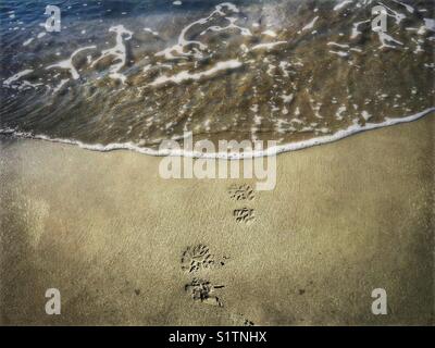Stampe di avvio sulla spiaggia, circa ottenere lavato via Foto Stock