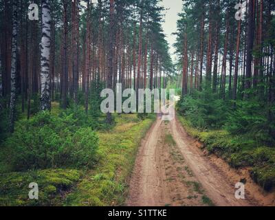 Strada forestale della Masuria regione della Polonia Foto Stock