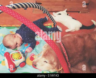Baby girl giacente sul tappeto gioco con il cane e gatto Foto Stock