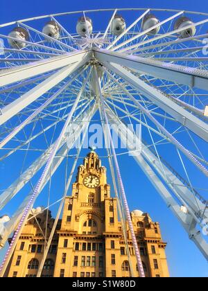 Royal Liver Building in Liverpool visto attraverso una ruota gigante contro un cielo blu Foto Stock