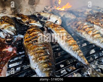 Sgombro pesce alla griglia da vicino Foto Stock