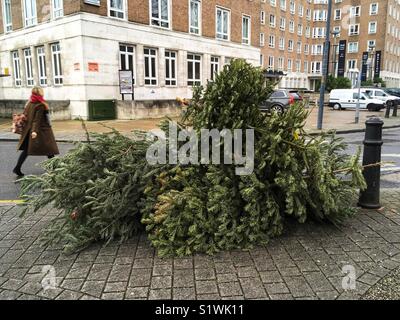 Un tumulo di alberi di Natale oggetto di dumping in un Southwark Street a Londra per 6 giorni dopo l'epifania del 12 gennaio 2018 Foto Stock