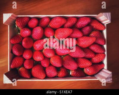 Fragole fresche in un vassoio di legno Foto Stock