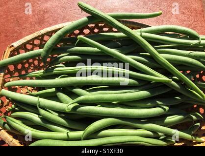 Appena raccolto i fagiolini verdi in un cestello, close-up Foto Stock