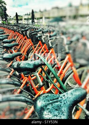 Fila di sedili in bicicletta sotto la pioggia, Stoccolma, Svezia e Scandinavia Foto Stock