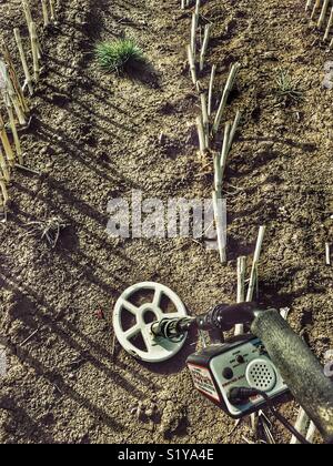 POV di rilevamento di metallo in un campo di stoppie, Somerset, Inghilterra Foto Stock