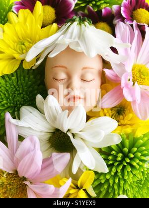 Felice e sleeping doll face in un letto di fiori. Foto Stock