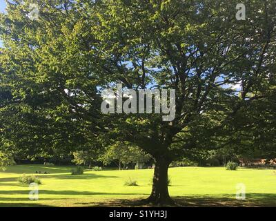 Giornata di sole in Waterlow Park London Foto Stock