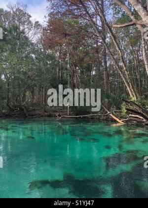 Appendere la fune sull'Weeki Wachee Springs, in Florida Foto Stock