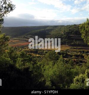 Vista autunnale delle vigne del Corbières regione vinicola del sud della Francia Foto Stock