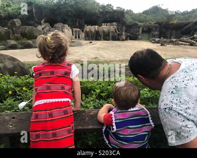 Famiglia in zoo zoo di Taipei Taiwan Foto Stock